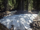 photo thumbnail #11