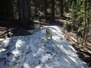 photo thumbnail #12