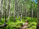 photo thumbnail #15