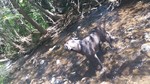 photo thumbnail #1