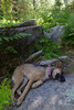 photo thumbnail #5