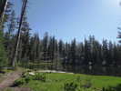 photo thumbnail #4