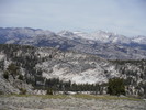 photo thumbnail #5