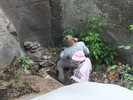 photo thumbnail #12