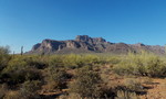 photo thumbnail #1