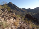 photo thumbnail #3