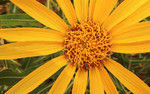 photo thumbnail #12