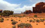 photo thumbnail #15