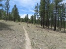 photo thumbnail #5