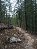 photo thumbnail #1