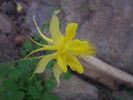 photo thumbnail #3