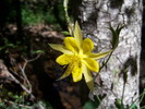 photo thumbnail #10