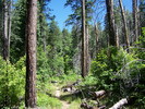 photo thumbnail #7