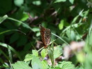 photo thumbnail #15