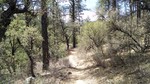 photo thumbnail #1