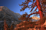 photo thumbnail #10