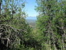 photo thumbnail #3