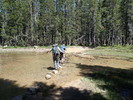 photo thumbnail #2
