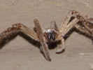 photo thumbnail #9