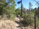 photo thumbnail #2