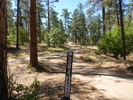 photo thumbnail #8