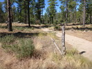 photo thumbnail #13