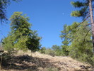 photo thumbnail #15