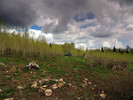 photo thumbnail #8