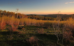 photo thumbnail #14
