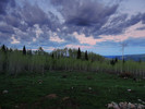photo thumbnail #15