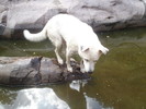 photo thumbnail #12