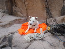 photo thumbnail #13