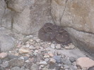photo thumbnail #14
