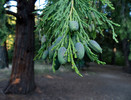 photo thumbnail #8