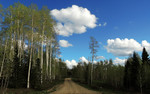 photo thumbnail #1