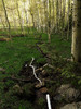 photo thumbnail #8