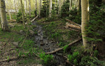 photo thumbnail #9