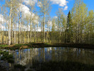 photo thumbnail #13