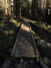 photo thumbnail #15