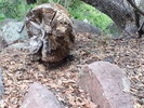 photo thumbnail #2