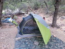 photo thumbnail #5