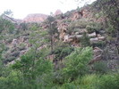 photo thumbnail #8