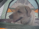 photo thumbnail #1