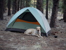 photo thumbnail #6