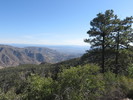 photo thumbnail #4