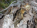 photo thumbnail #2