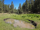 photo thumbnail #4