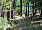 photo thumbnail #8