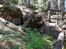 photo thumbnail #10
