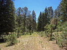 photo thumbnail #11